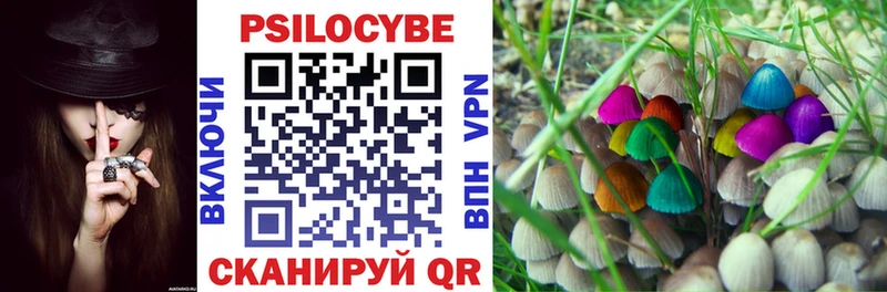 Галлюциногенные грибы GOLDEN TEACHER  Оленегорск 