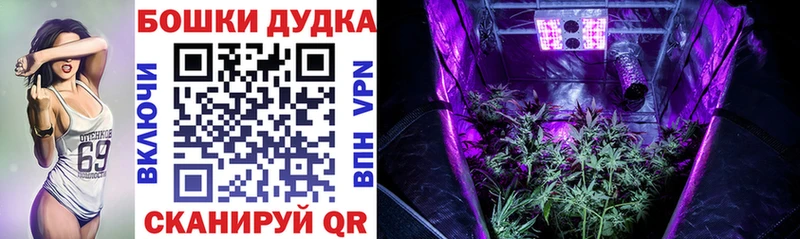 сколько стоит Оленегорск Бошки Шишки VHQ
